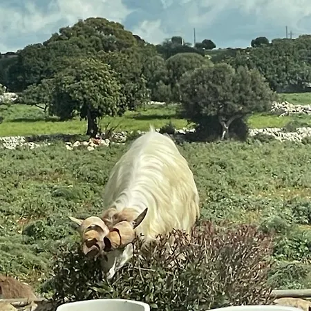 Chalet In Campagna Chalet Raguse